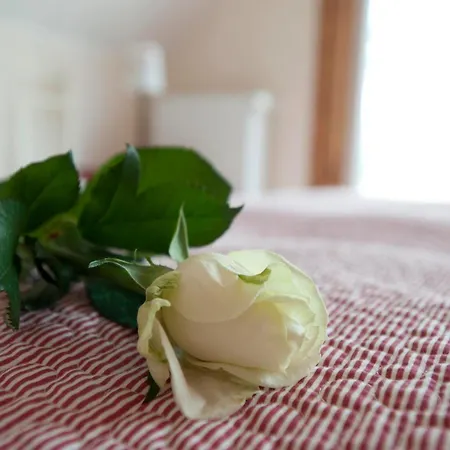 Ferienhausquartier Huberhof Seehausen