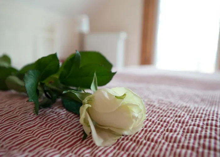 Ferienhausquartier Huberhof Seehausen (Uckermark)